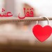 فیلم قفل عشق / کاری از خبرنگار نوید صبح در وین – اتریش فیلم قفل عشق / کاری از خبرنگار نوید صبح در وین – اتریش