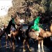 چه ظالمانه می برند به تازیانه می برند + فیلم شهروند خبرنگاران نوید صبح چه ظالمانه می برند به تازیانه می برند + فیلم شهروند خبرنگاران نوید صبح