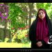 عملکرد دفتر امور زنان استانداری کردستان در حوزه اجتماعی: “برنامه ریزی برای زنان خانه دار ” + فیلم مستند لیلا آژیر (قسمت سوم)